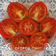 pomidor_de_barao_tsarskiy_3