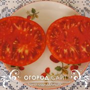 pomidor_delishes_5