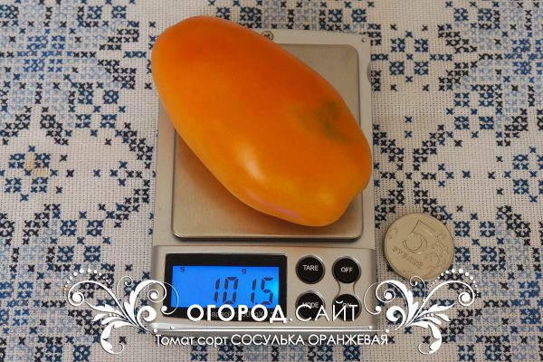 pomidor_sosulka_oranzhevaya_1