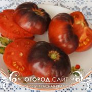 Томат сорт Красная красотка в разрезе