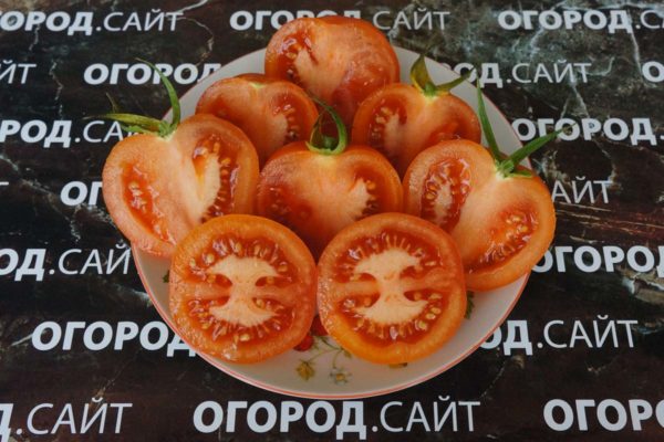 Купить семена томатов сорта Очарование
