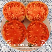pomidor-bychye-serdtse-rozovoe-2