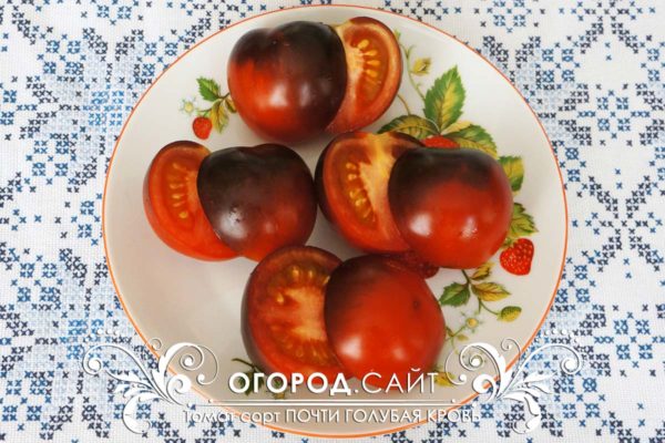 pomidor-pochti-golubaya-krov-2