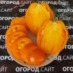 томат стаканы минусинские оранжевые