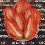 томат минусинские стаканы красные