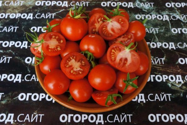 редкие семена томатов от частного коллекционера