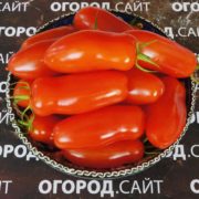 сорт томатов фляшен купить семена