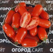 томат фляшен семена купить