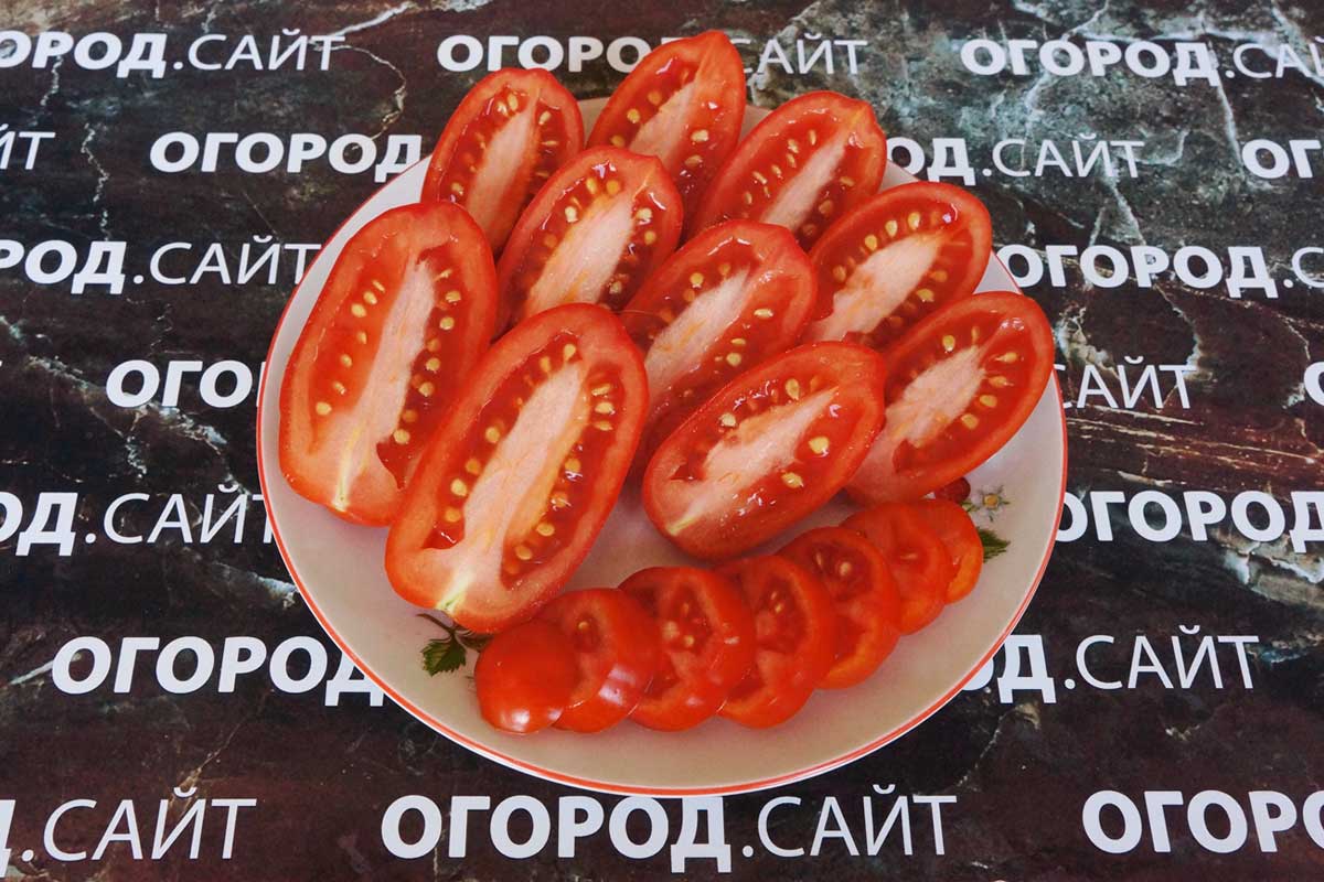 Tomato 10