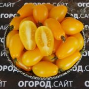 ампельные томаты сорта фото