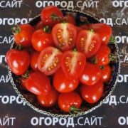 томат клубничка купить семена