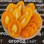 сорт томата Фляшен оранжевый купить семена