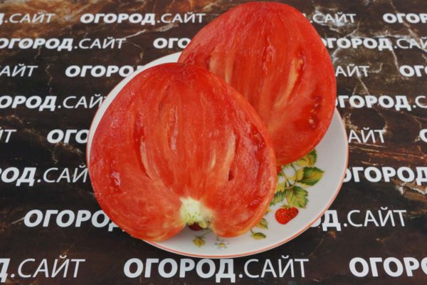 вкусный минусинский томат Маломинусинское бычье сердце