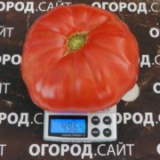 Минусинский малиновый старинный