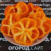 Перец сладкий Оранжевый мармелад