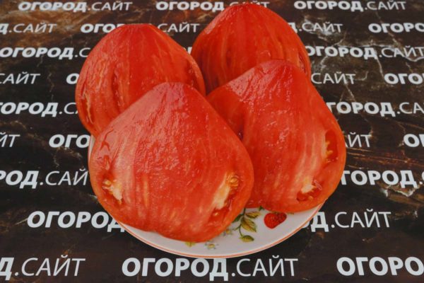 томат сердце дронеро семена купить