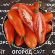 Томат Покоритель неба