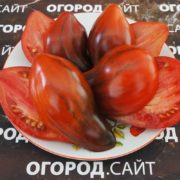 Томат Бронзовые пальчики сержанта Пеппера