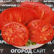 Томат Страстное сердце Энтони