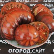 Томат Далёкий космос (Софии Сааковой)