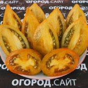 Томат Ореховая слива (Софии Сааковой)